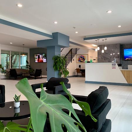 Garden Hotel Miami Airport, Trademark Collection By Wyndham マイアミ・スプリングス エクステリア 写真